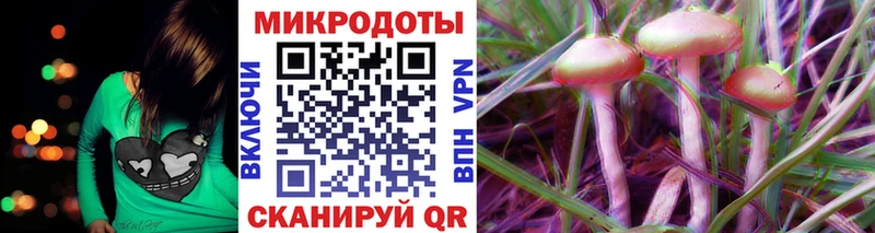 Галлюциногенные грибы Psilocybine cubensis  Нестеров 