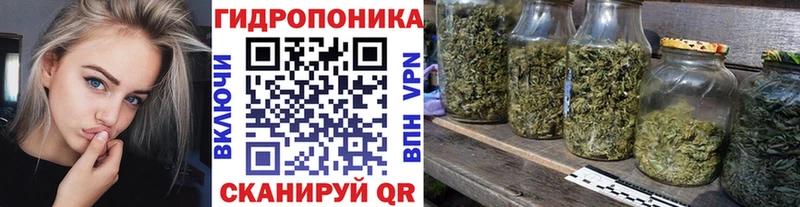 Шишки марихуана тримм сайты даркнета наркотические препараты Нестеров где можно купить наркотик